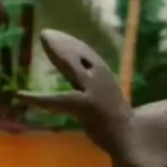 Profile image of 데이노니쿠스