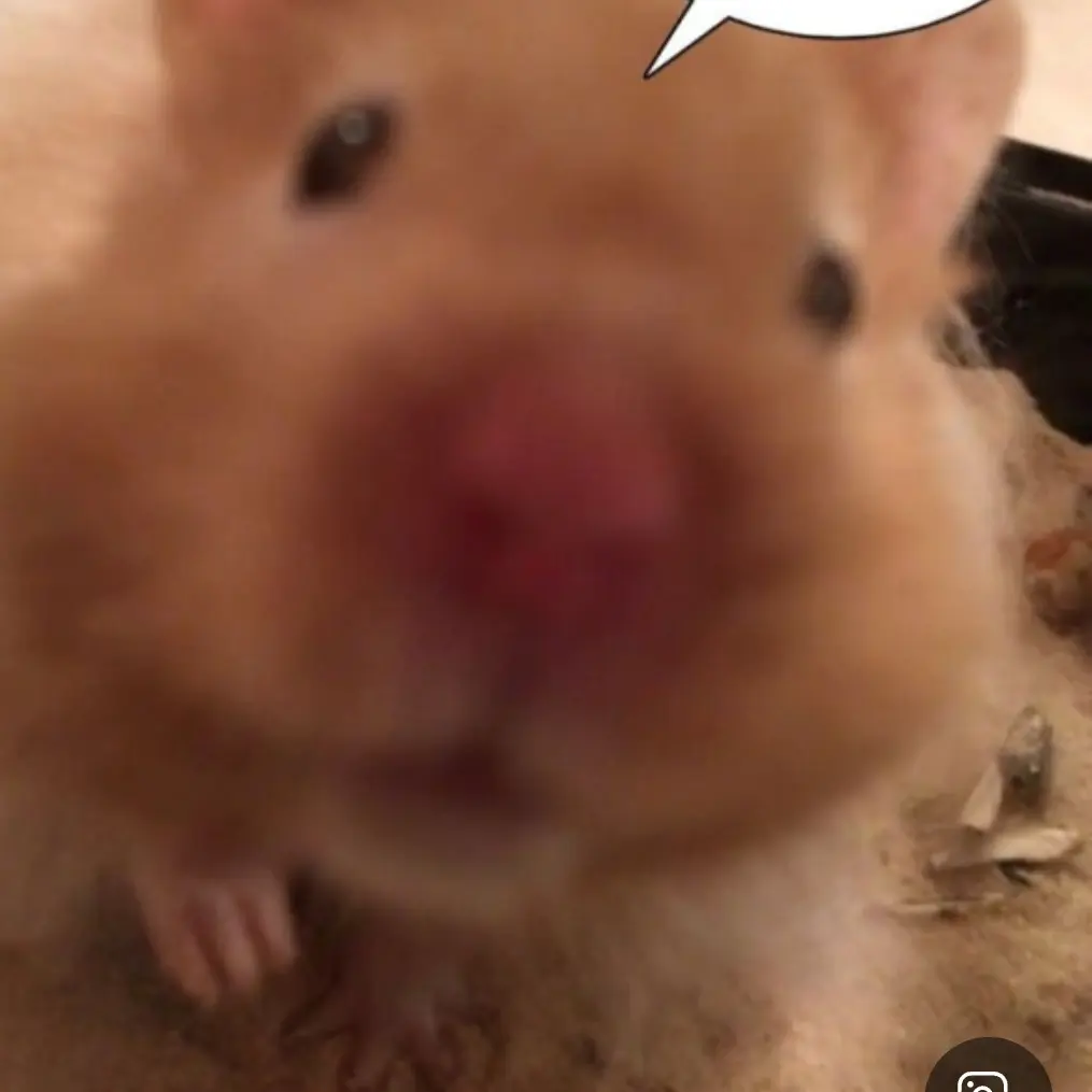 Jiwon0414의 ?