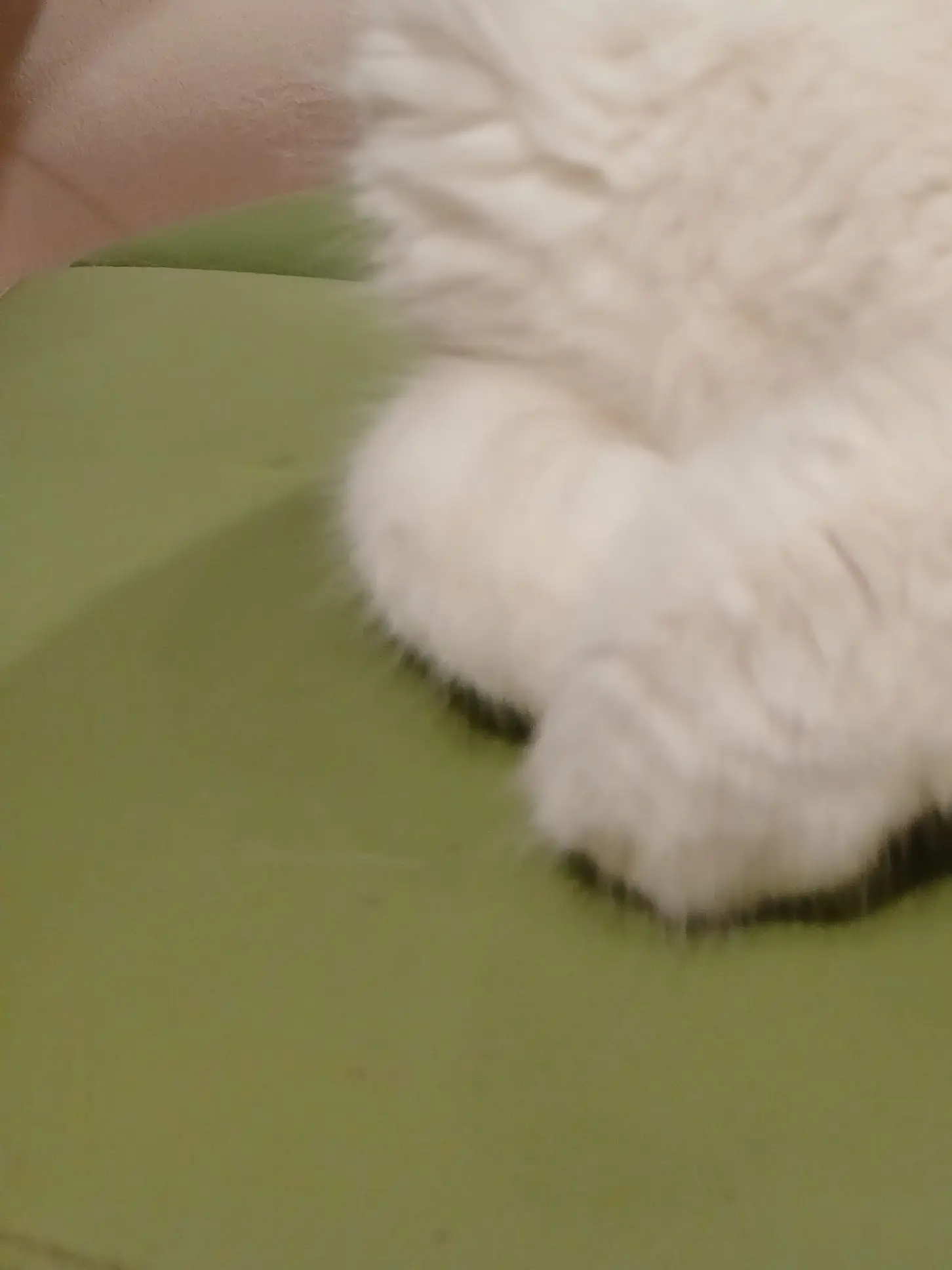 333333555777.의 ハンドレ!