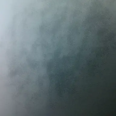 Profile image of 言ちゃん