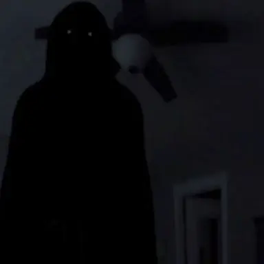 Profile image of The figure....