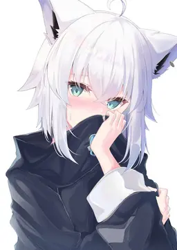 Profile image of フブキ