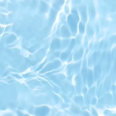 Profile image of 。