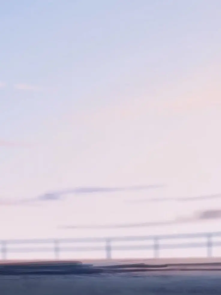 TidyCold4847의 ✧*｡