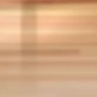 Profile image of 山猫