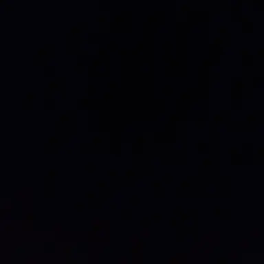 Profile image of 정가온