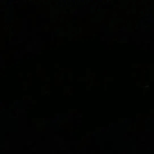 2000.6.6의 ­