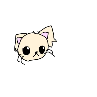 Profile image of 세들