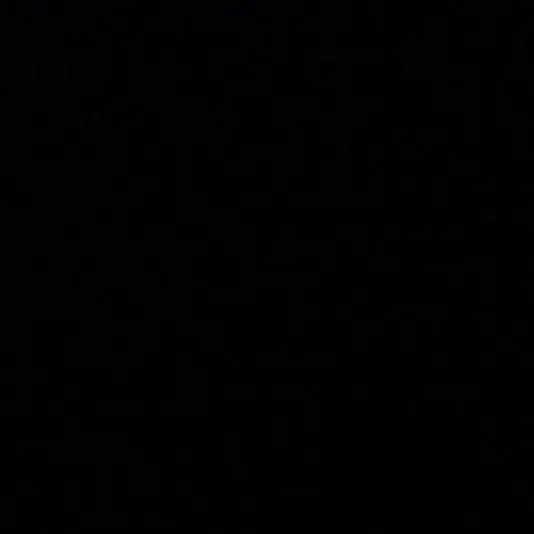 svt._0의 유학 궍숝영