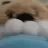 마사