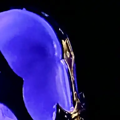 Profile image of 不破湊