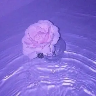 Profile image of 잠뜰 -리더.보컬-