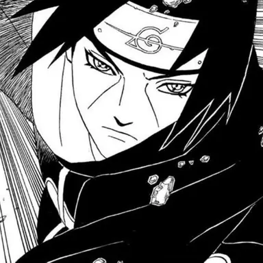 Profile image of イタチ