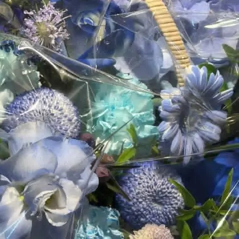 Rose_bin의 조유빈