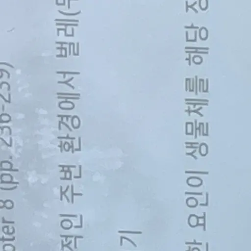 SmugKiwi6881의 앙