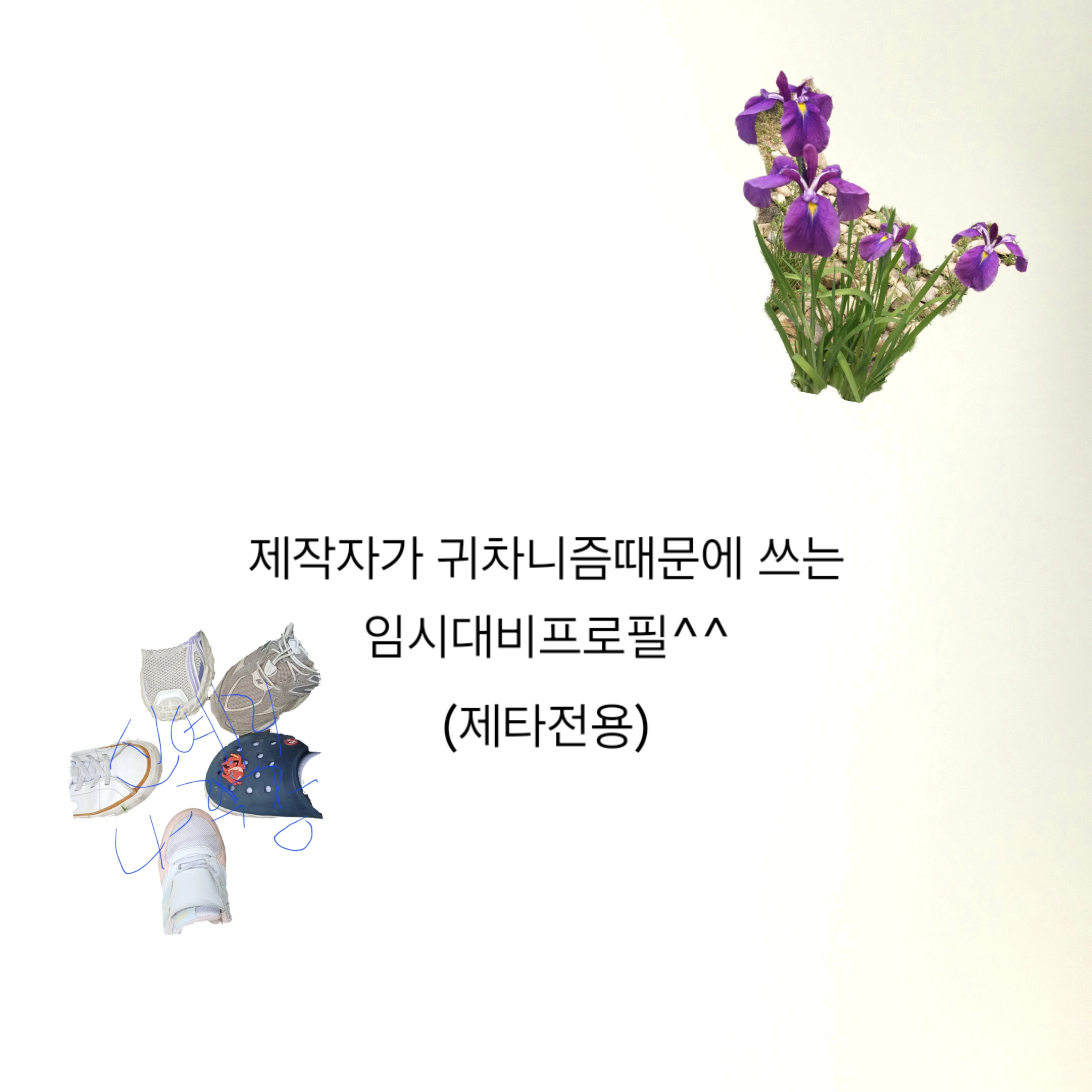 모양몬