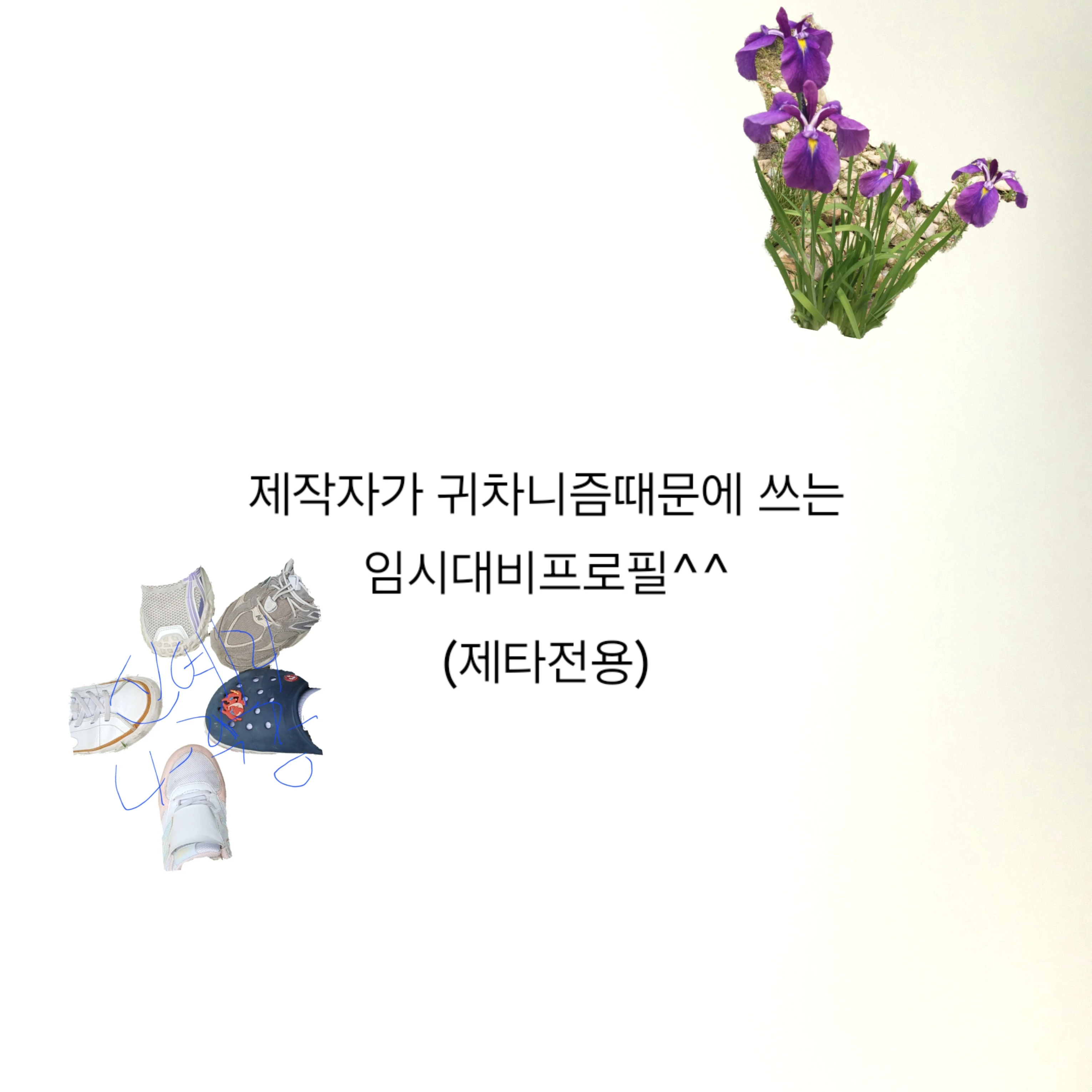모찌엘