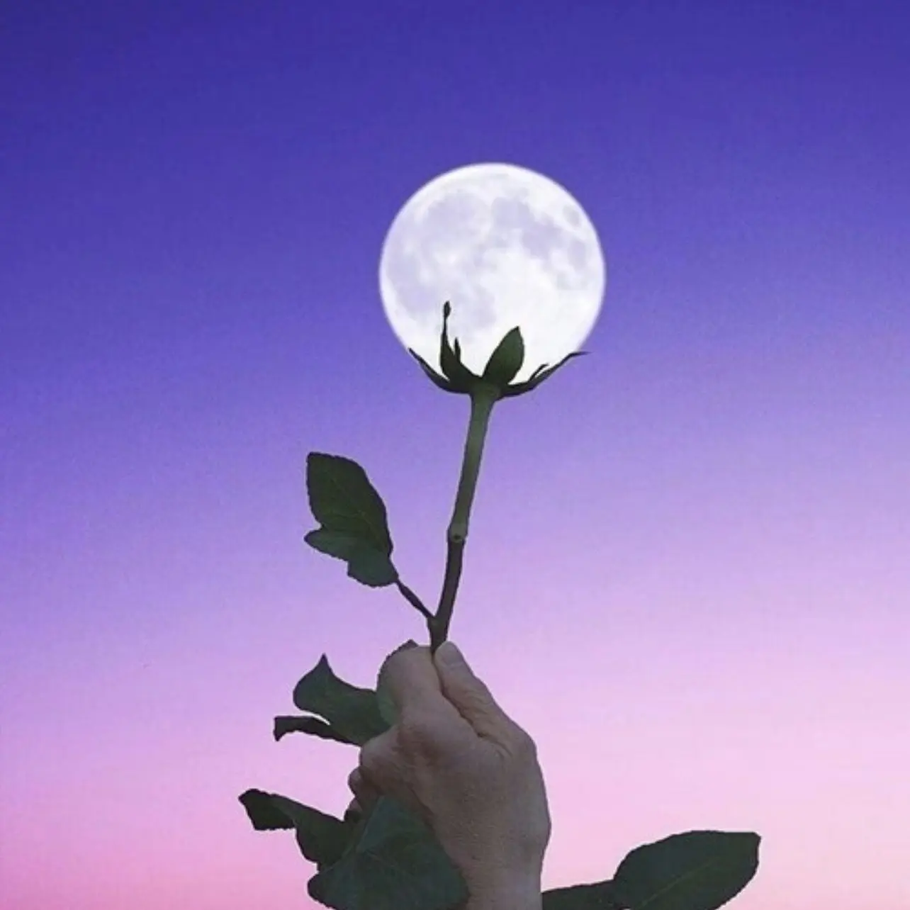 TrueStore1254의 뒷 골목에 일진들이 있어요..