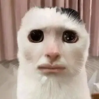 Profile image of Squishy Cat