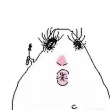Profile image of KiraKira