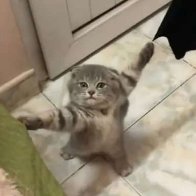 Profile image of 레켓