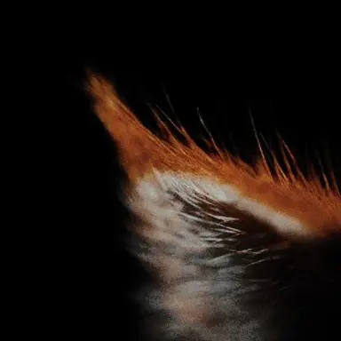 Profile image of 오소마츠