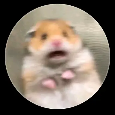 Profile image of 김치즈