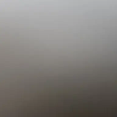 Profile image of 테베루스