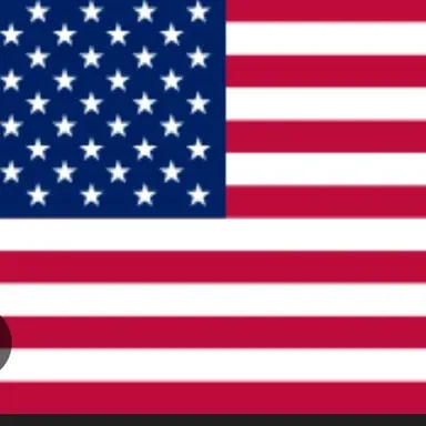 Profile image of 미국