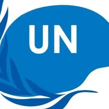 Profile image of UN 평화 유지군