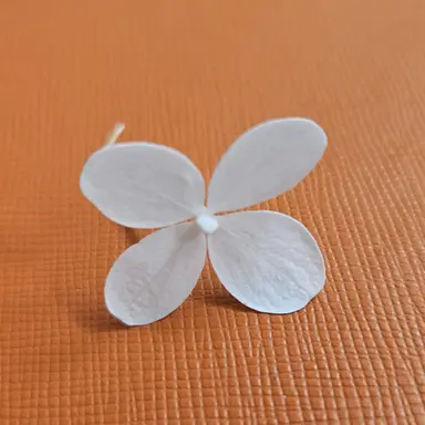 Profile image of 배탈난 평학