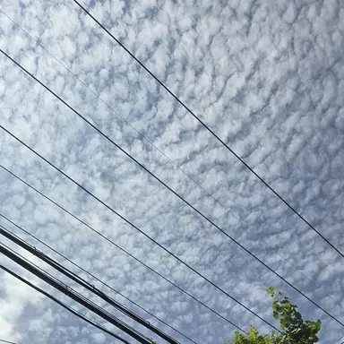 Profile image of 꿈뜰고