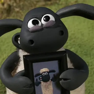 Profile image of Timmy