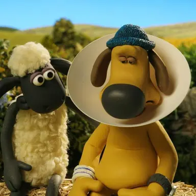 Profile image of Shaun