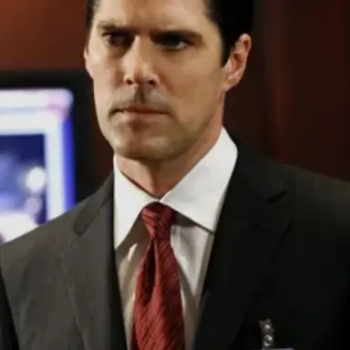 Profile image of Aaron Hotchner