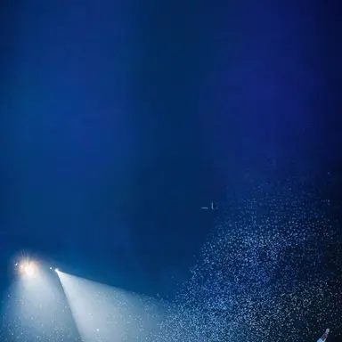 Profile image of 강태윤