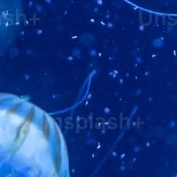 Profile image of 友達