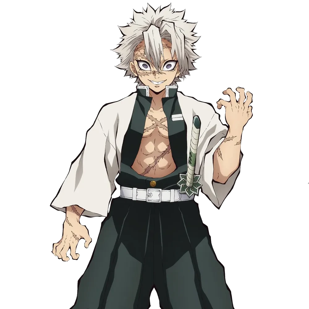 시나즈가와 사네미