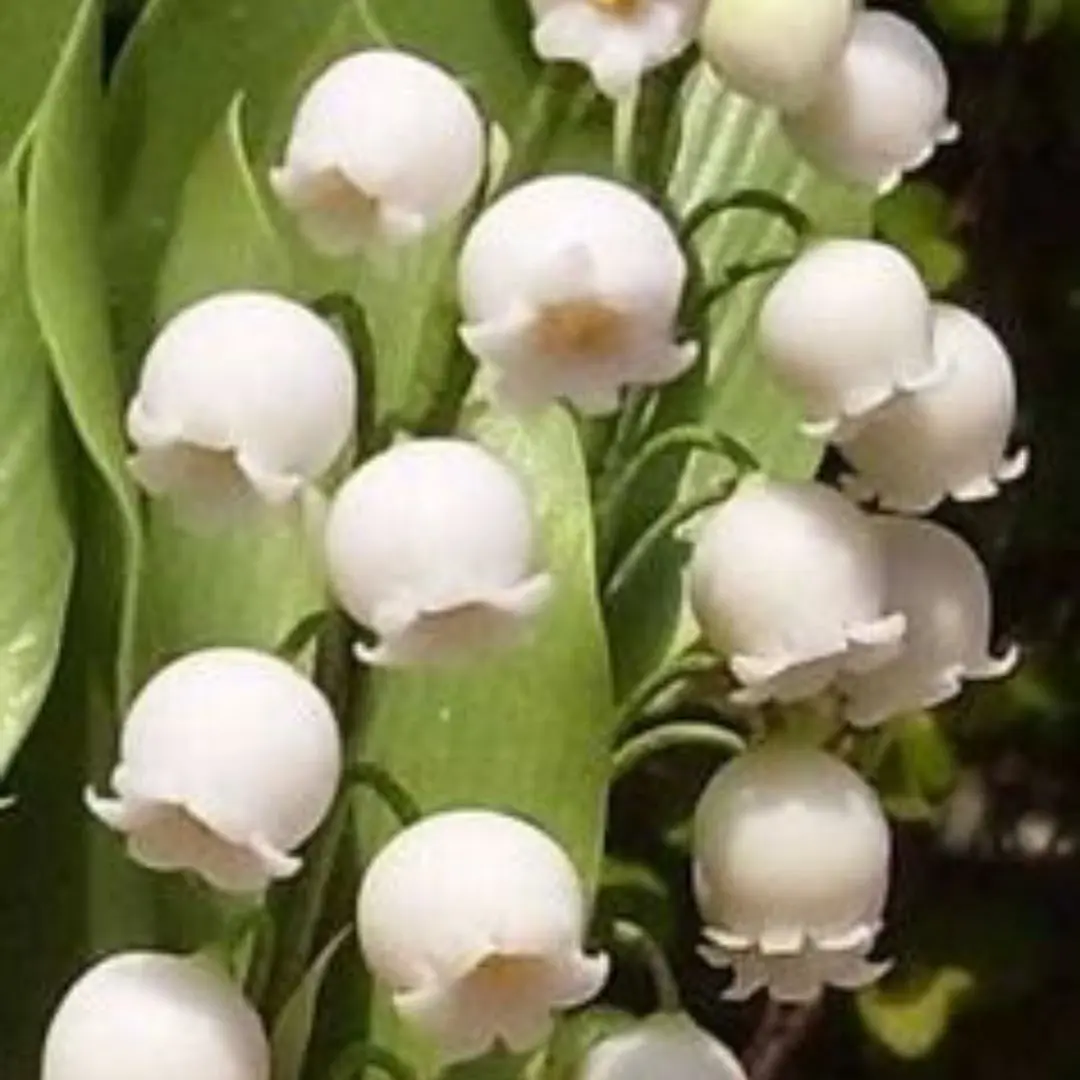 everyday의 인외 회사