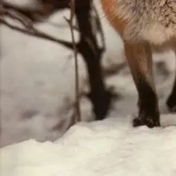 Profile image of 정인철