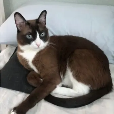 Profile image of 길귀미