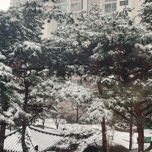 스토커