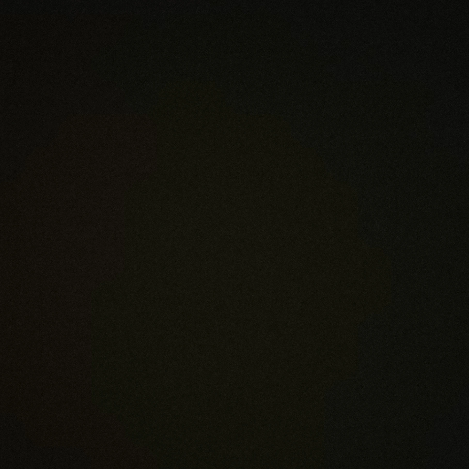 범규