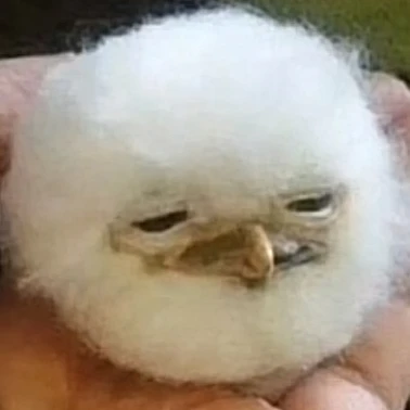 .