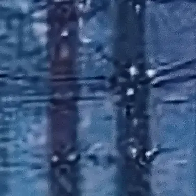 Profile image of 아주르