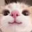 팀나빠