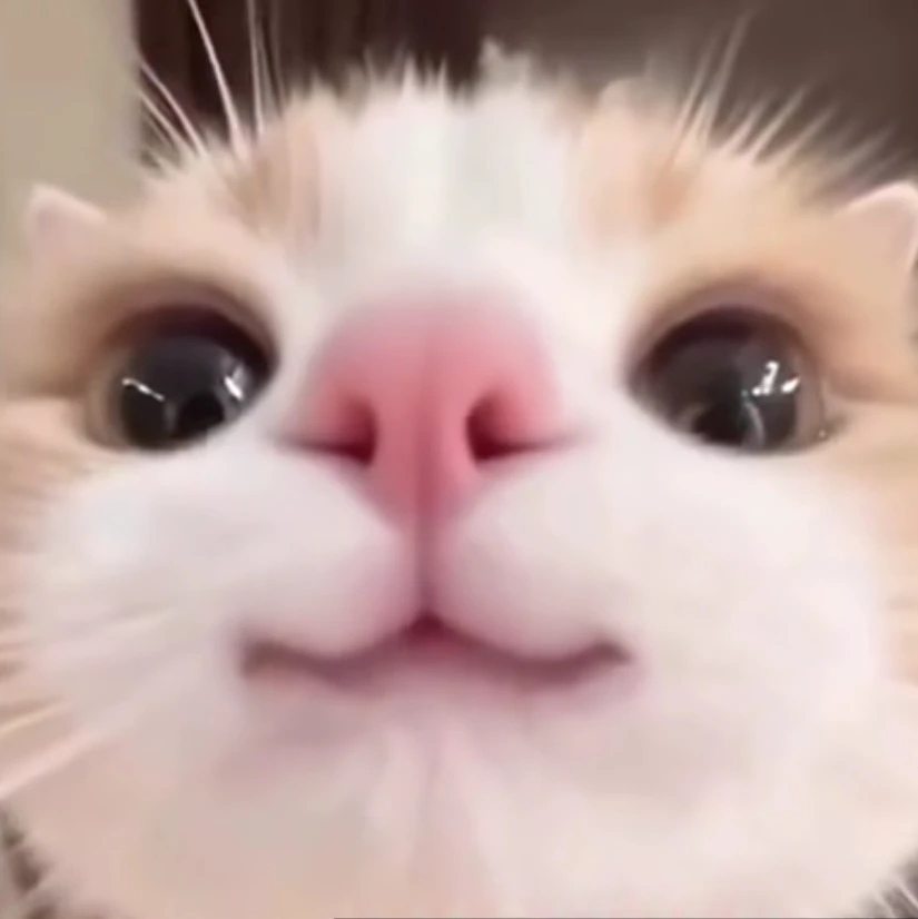 팀나빠