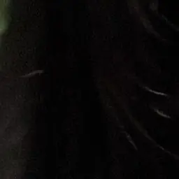 movie1213.128의 Plage. ※使用禁止