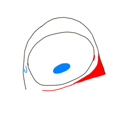 Profile image of 레드