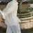 김민규